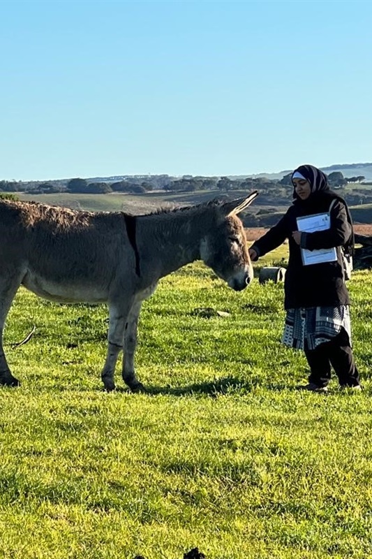 Year 8 Girls: Camp Kangaroobie